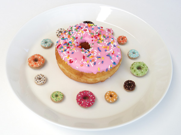 mini fuzzonme donuts and real doughnut